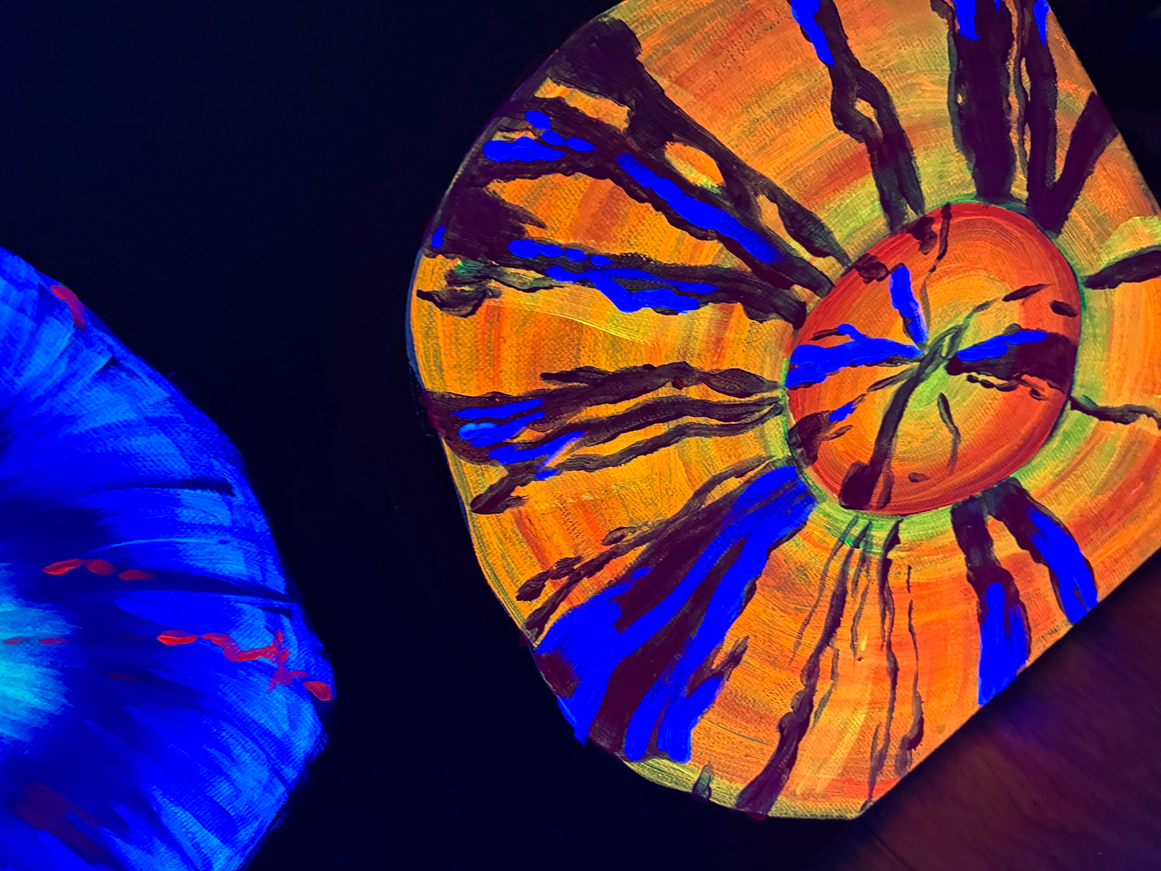 Scolymia  blacklight painting
