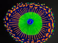 Candy apple red zoanthid black light painting