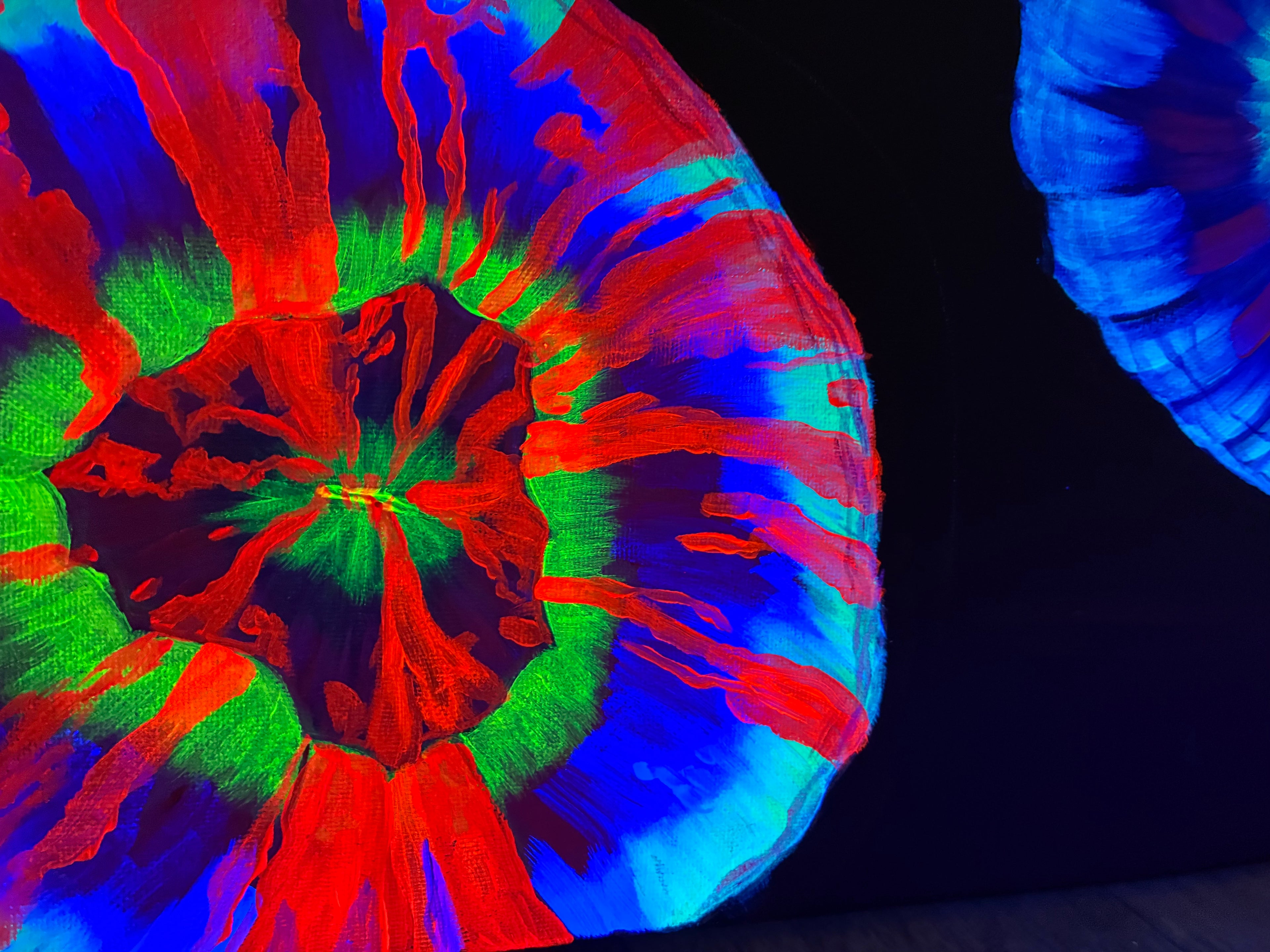 Scolymia  blacklight painting