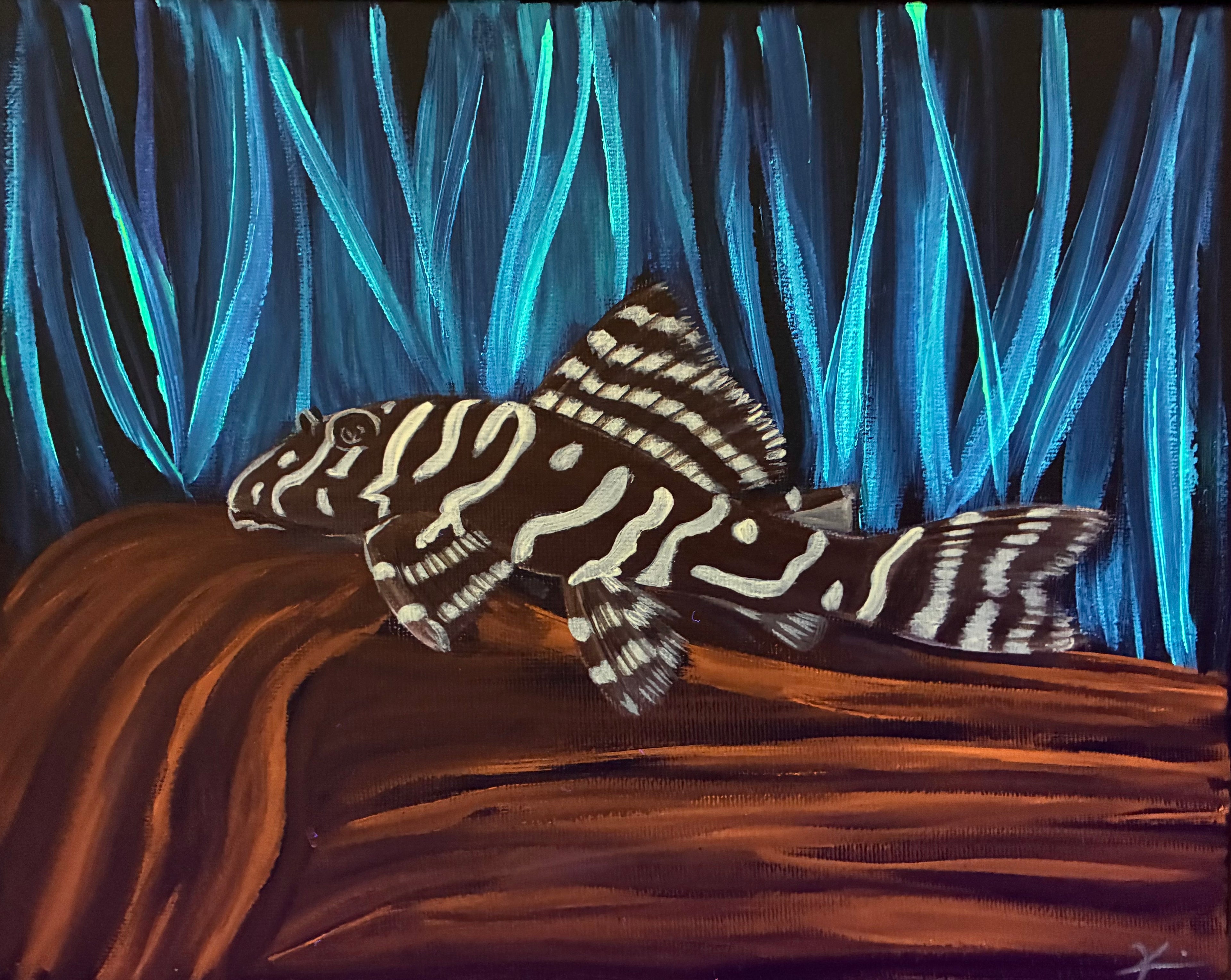 Pleco painting