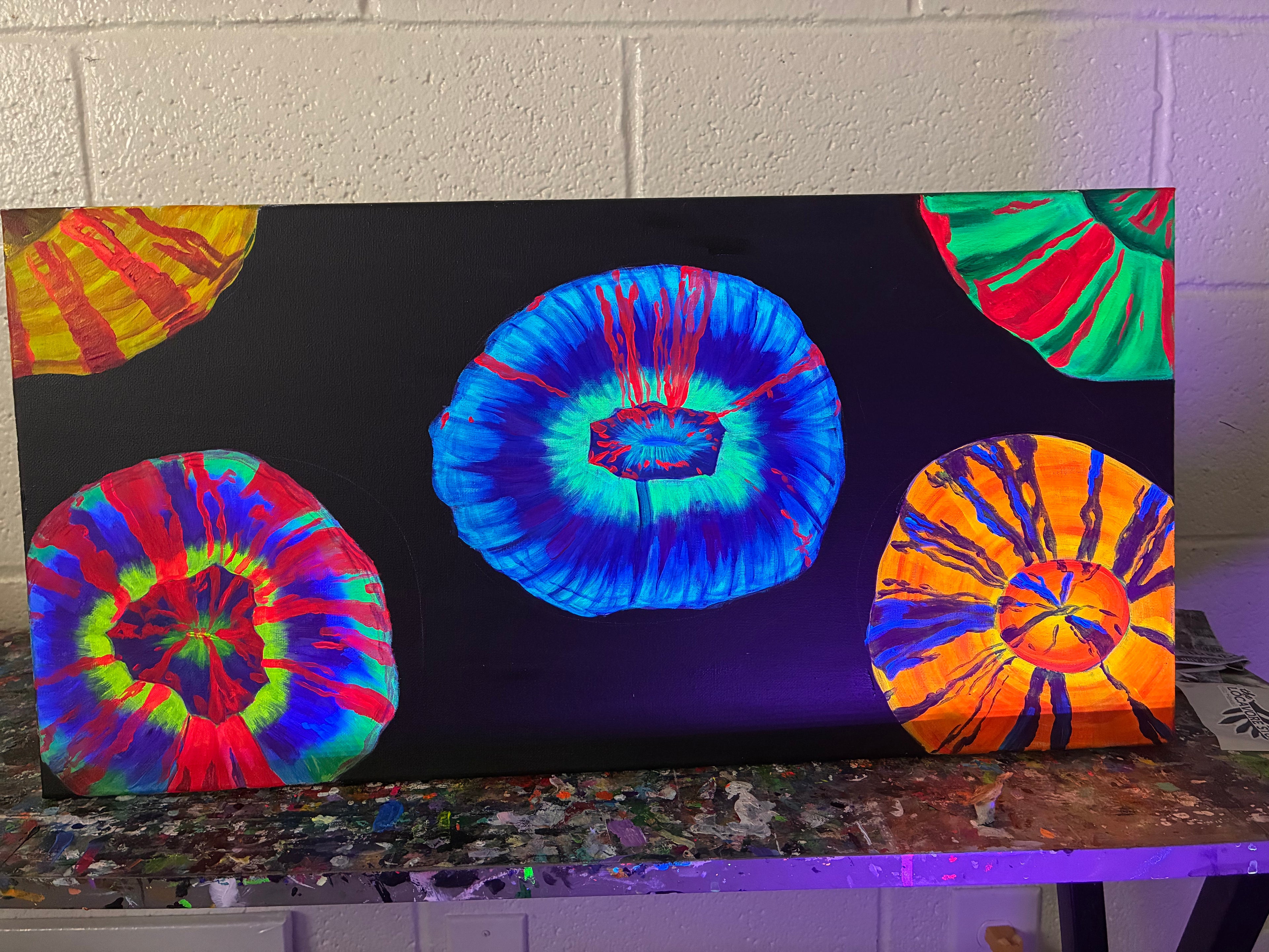 Scolymia  blacklight painting