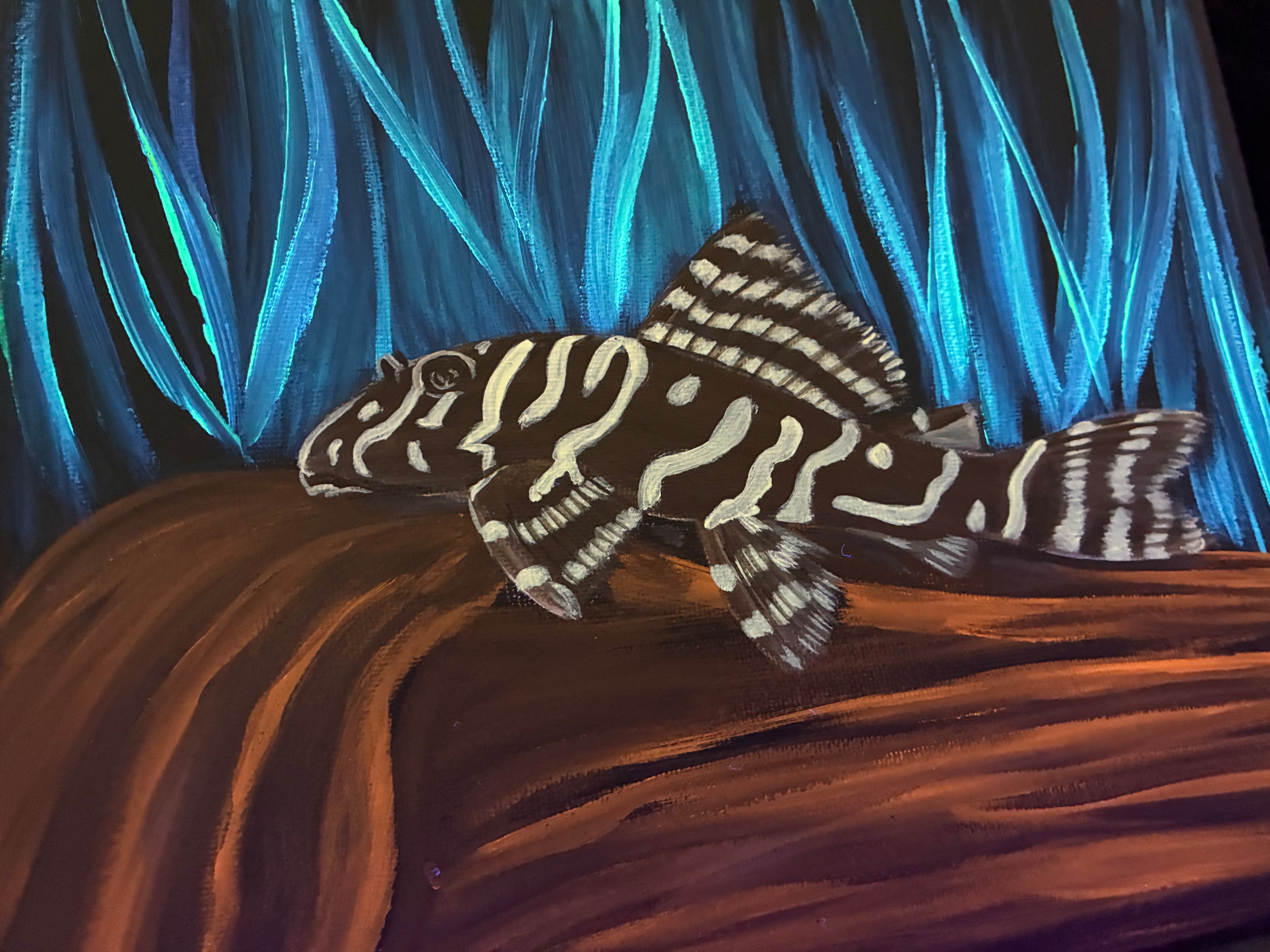 Pleco painting