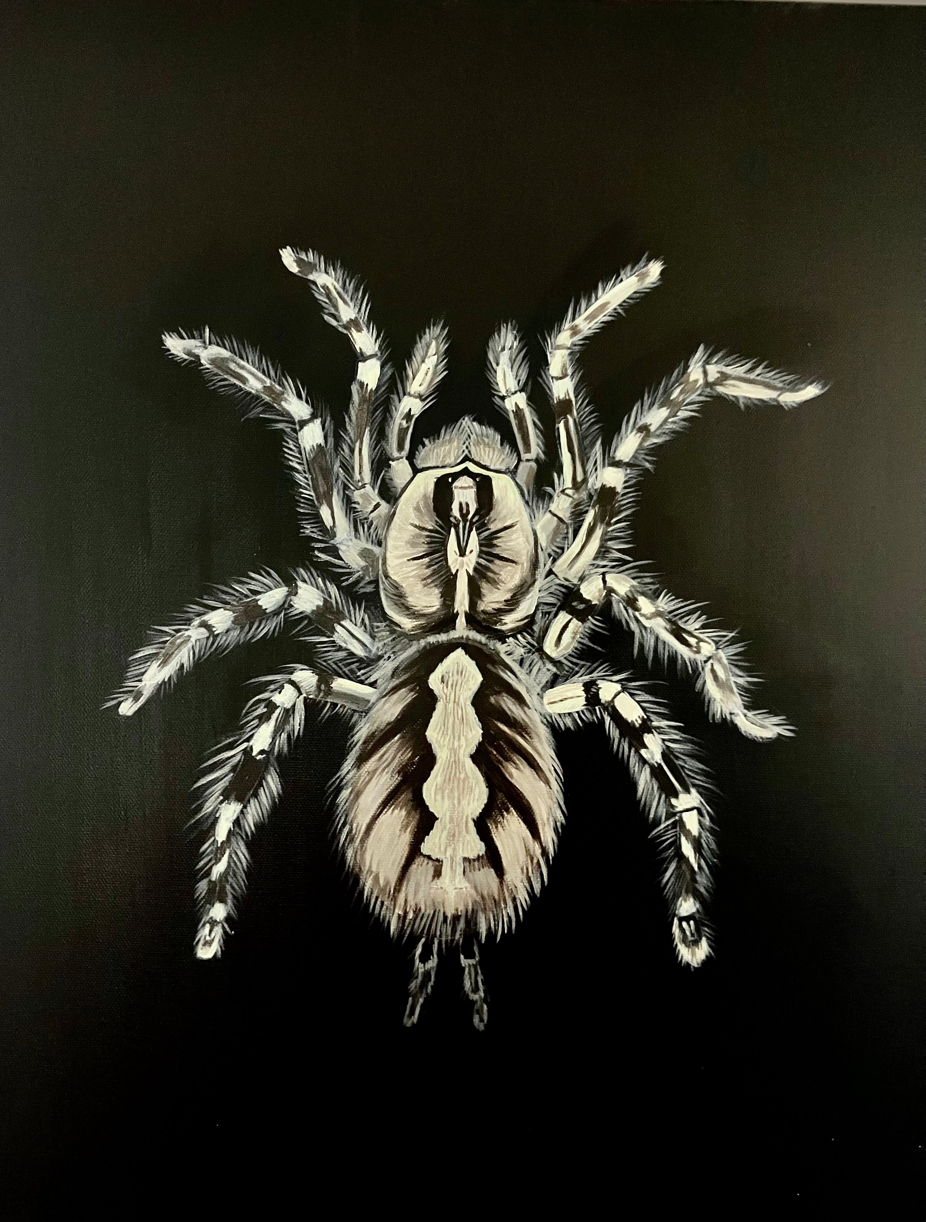 Tarantula painting