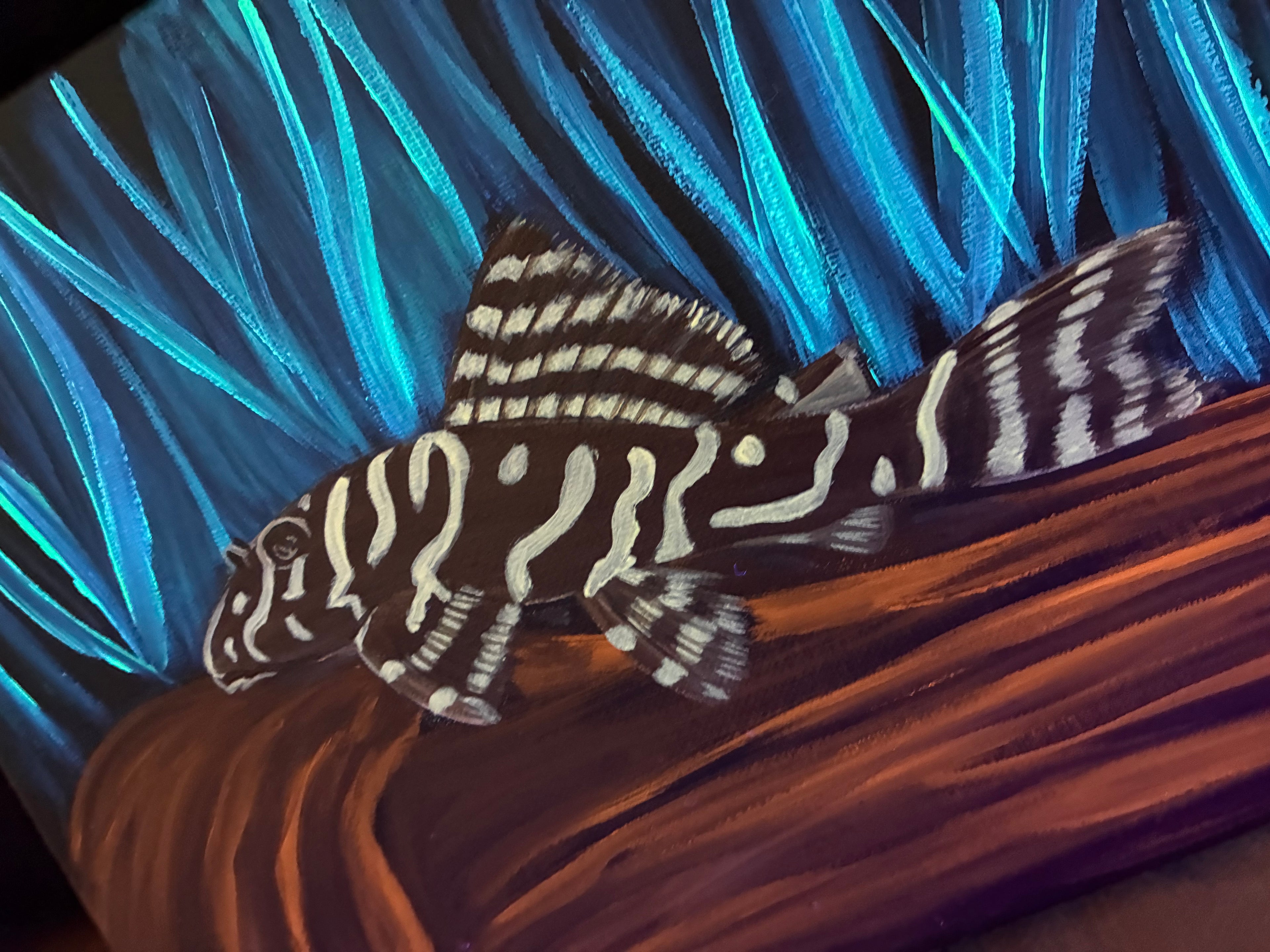 Pleco painting