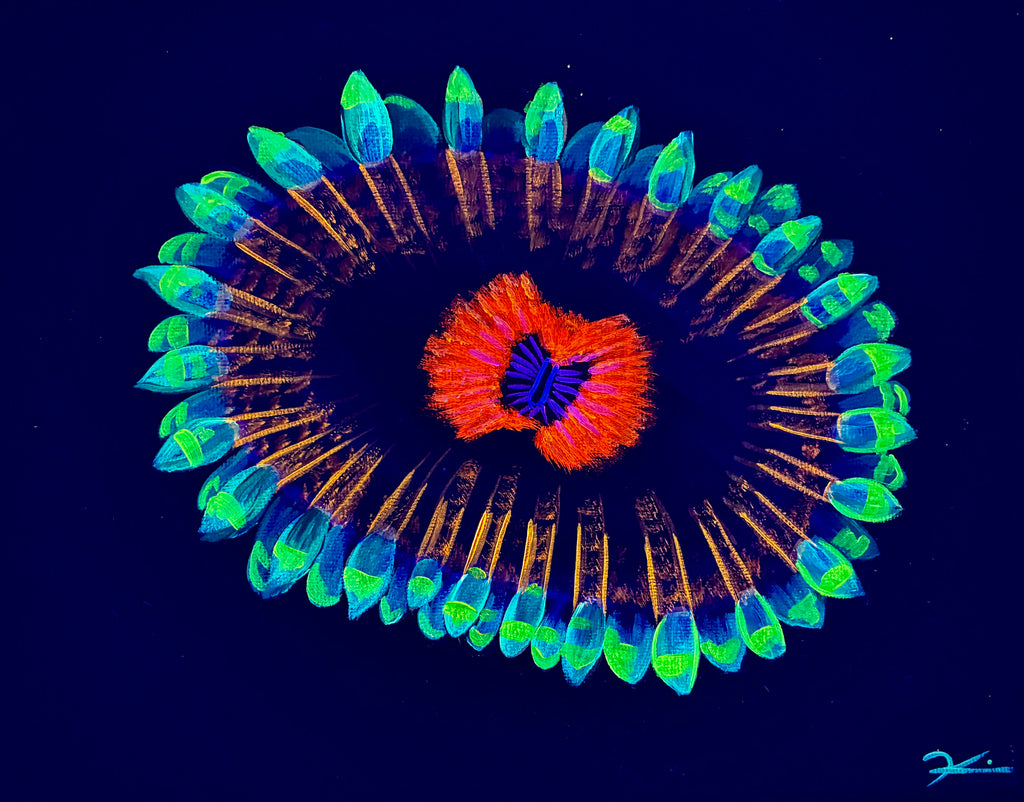 Zoanthid black light painting