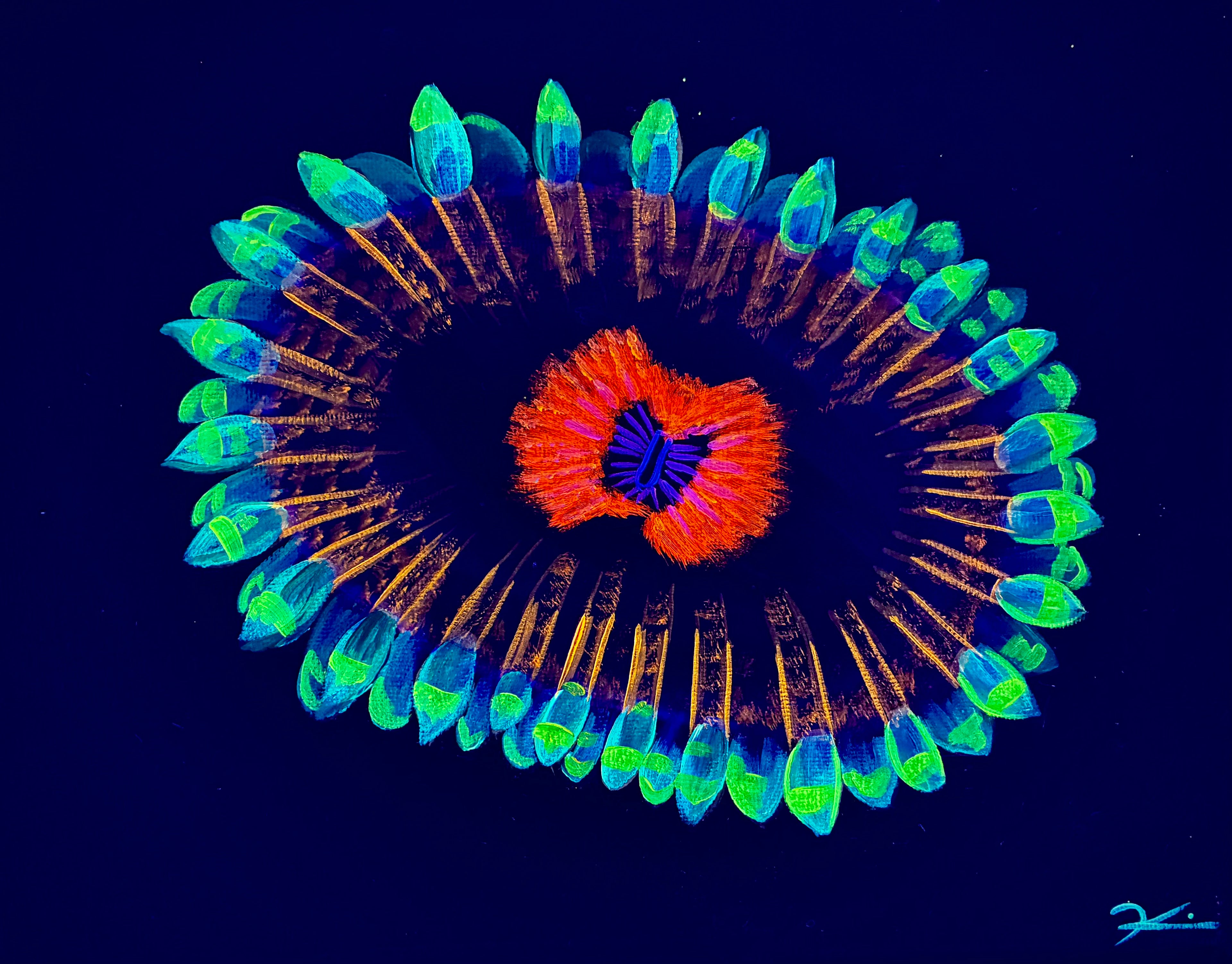 Zoanthid black light painting