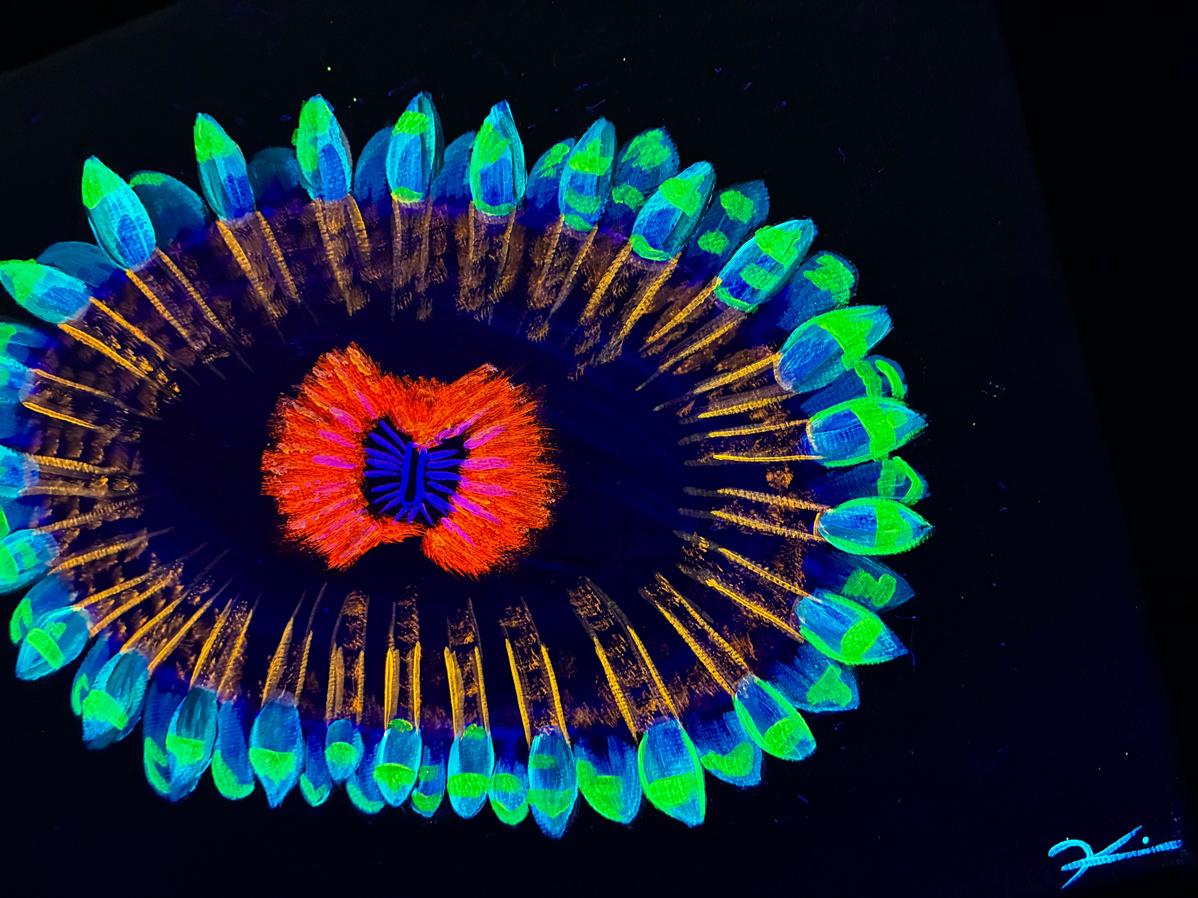 Zoanthid black light painting