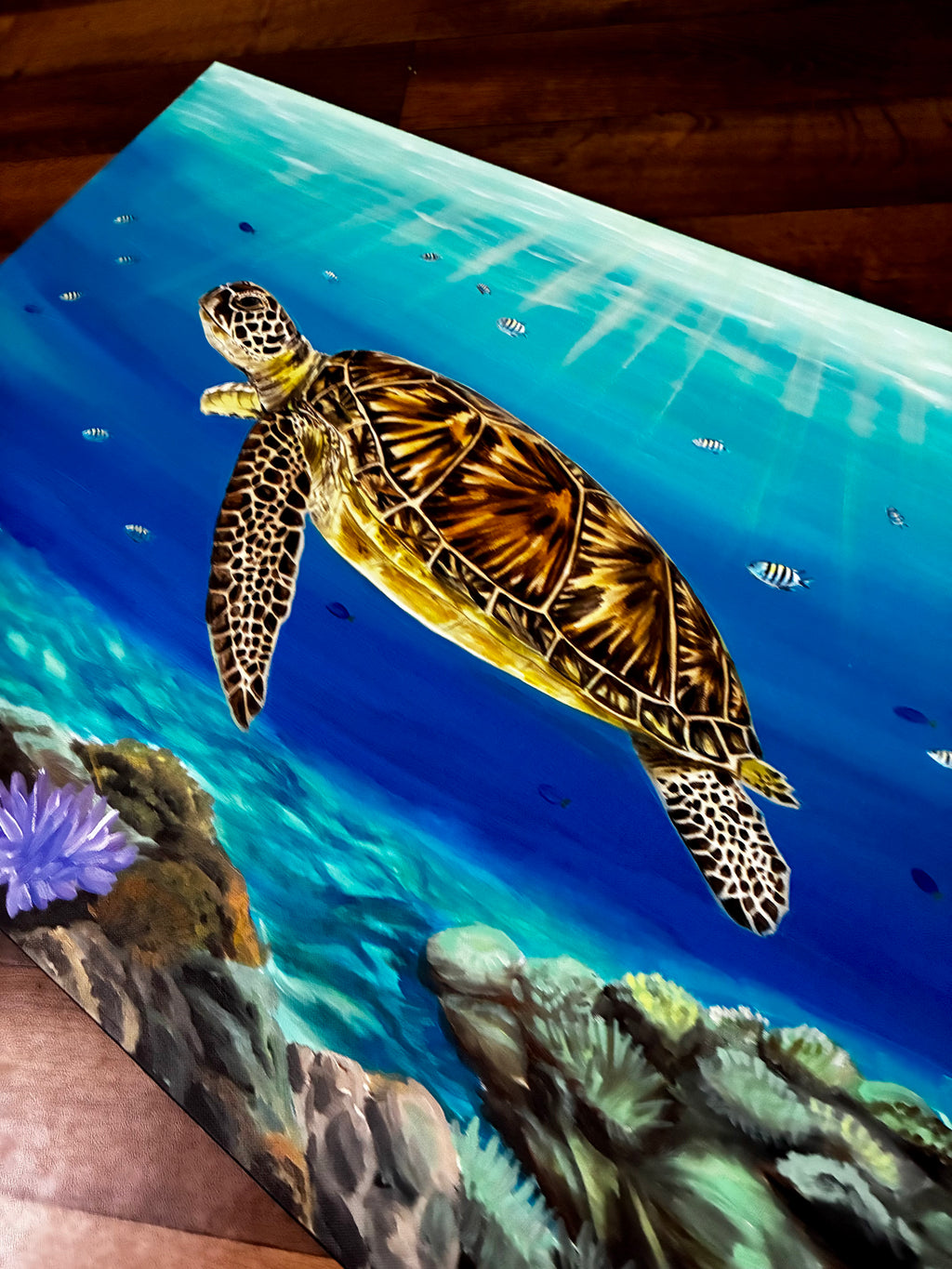 Sea turtle painting