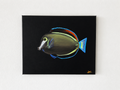 Naso Tang UV reactive painting