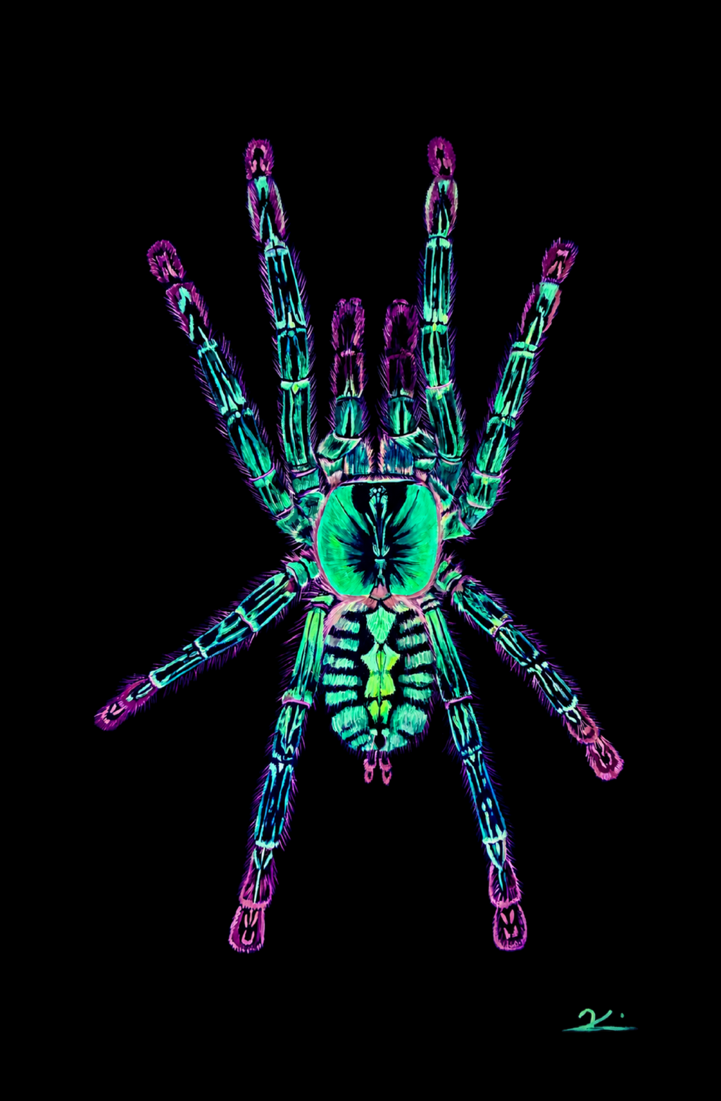 Ornamental tarantula