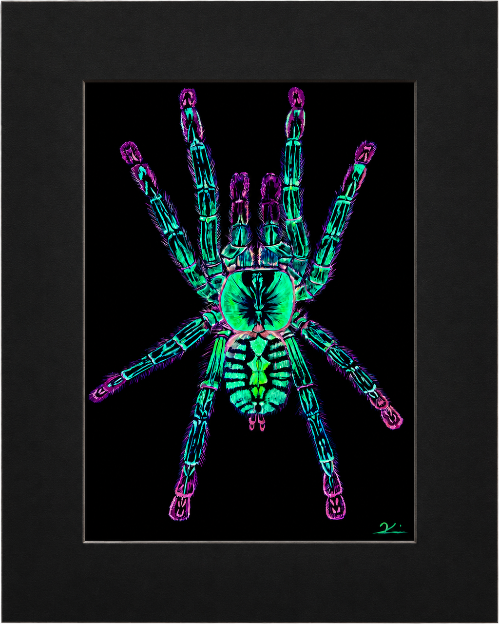 Ornamental tarantula