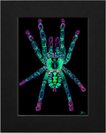 Ornamental tarantula