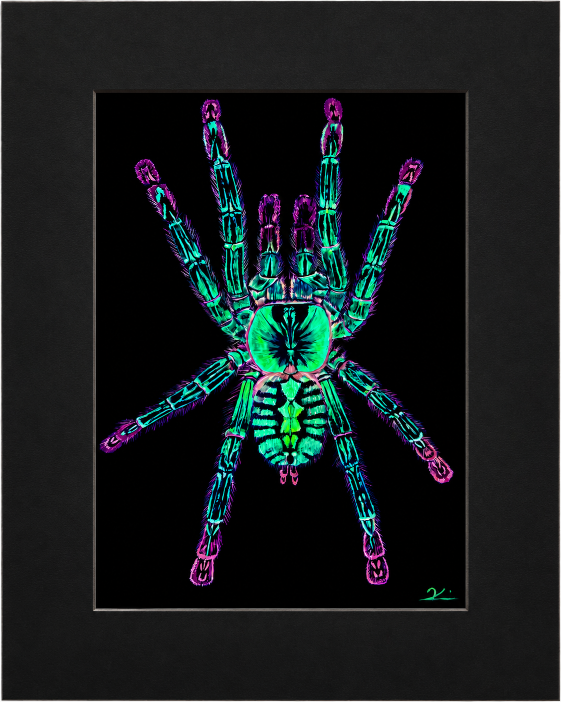 Ornamental tarantula