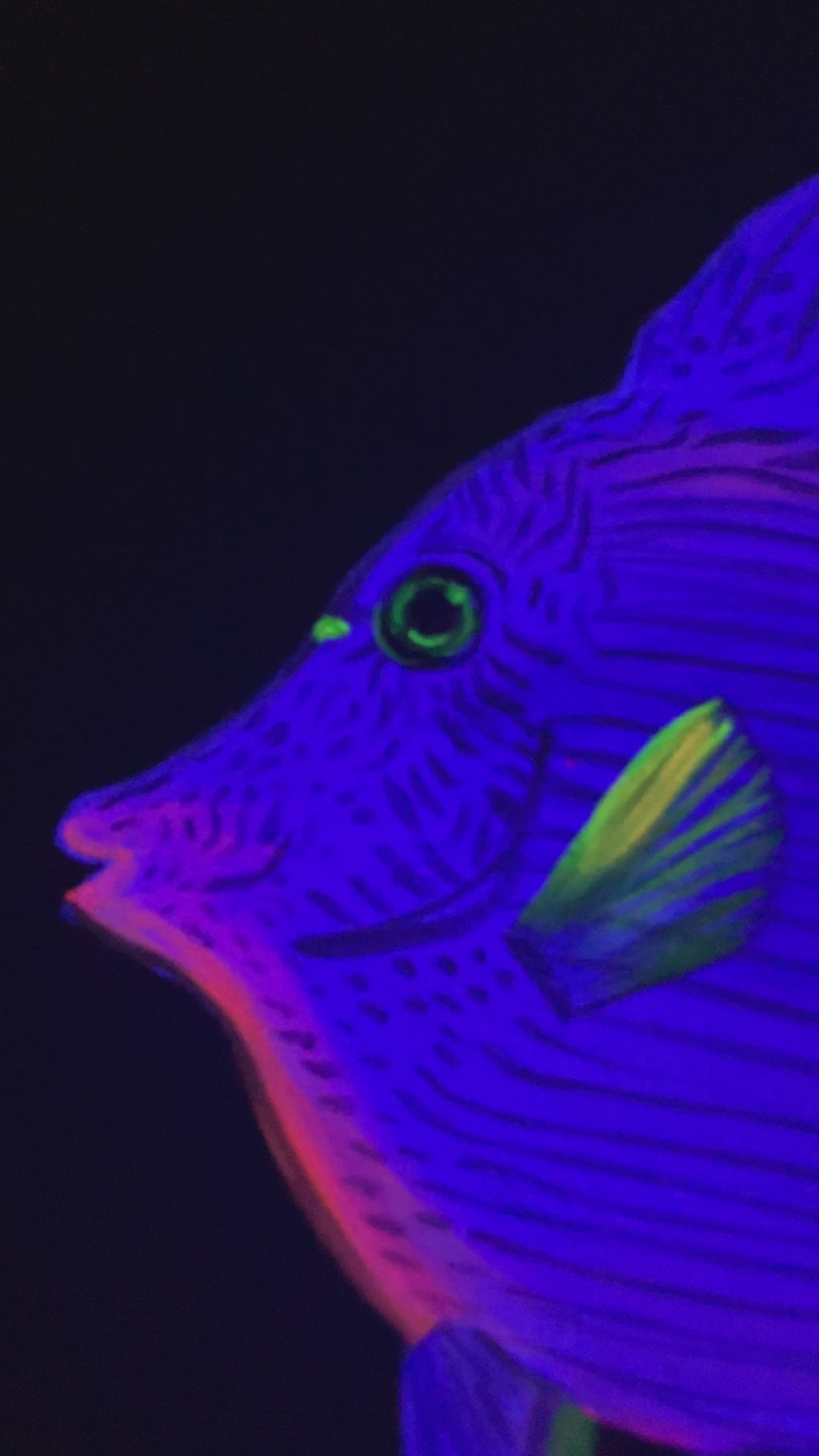 Purple gem tang original black light painting