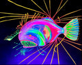Angler fish blacklight painting 