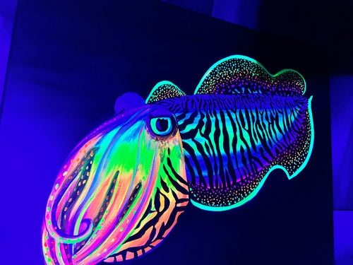 Blacklight Cuttlefish painting